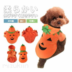 ���p�����̕������t�ďH�~���킢��������ꒅ���₷�����h�b�O�E�F�A�g�C�v�[�h�������^���������[��