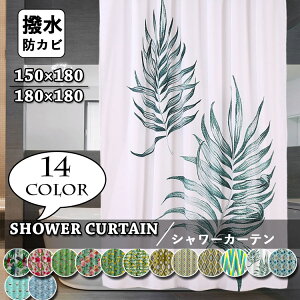 V[J[ehJroXJ[ekꂨCJ[eȂoX[oXpiVvGKgqǂʏjbgoX􉽕AttȒPtbNt1