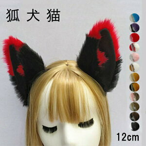 13F12cmόLdJ`[VRRtFCNt@[ANZT[ՊwՃp[eB[nEBt2x0