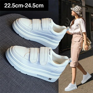 Xj[J[fB[X}WbNe[vXj[J[7cmq[Abv؍JWAV[YtHrʕ₷ʋΒʊwf[gV[Y22.022.523.023.524.024.5z