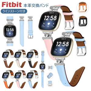 Fitbit Versa4 oh v Fitbit Versa3 xg CXg[t LL Fitbit Versa 4 3 oh {v v ԕ U[oh tBbgrbg Versa4/3 xg 킢  X}[gE