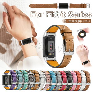 Fitbit Charge6 �o���h �{�v Fitbit Charge5 �x���g Charge 6 5 �����o���h �t�B�b�g�r�b�g �`���[�W 5 �`���[�W5 �����p�o���h ���킢�� ������� �I�V���� ���� ���f�B�[�X �����Y �����x���g Charge5�o