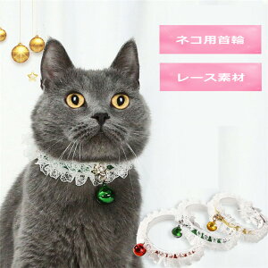 lR  [X L   y Z[teB ȒP L L̎ Lp cat dog pet L  lR ^  邪t qL Z[teB Lp TCY IV  킢 