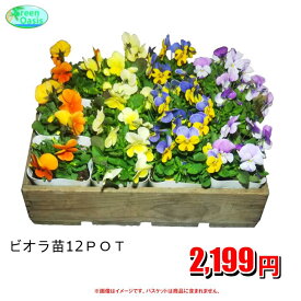 楽天市場 ガーデニング 花苗の通販