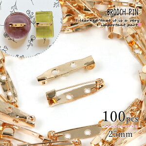 y{p[cz100 e u[`s 25mm ꂢ߃S[h 2 Ɩp  ܂Ƃߔ RT[Ws ԃs Ss p[c u[` W | Ntg tB p