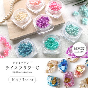 yhCt[zCXt[C { n[oE n[o[ vU[uht[ W lC f ԍ  { p[c Rf W hCt[ sI