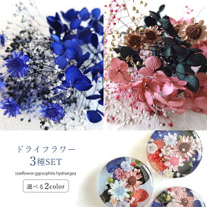 yhCt[zhCt[3Zbg IgiAeB[NJ[ W lCp[c lCA[g ԍ vU[uht[ { A Ntg | ͂ flowersIׂ2