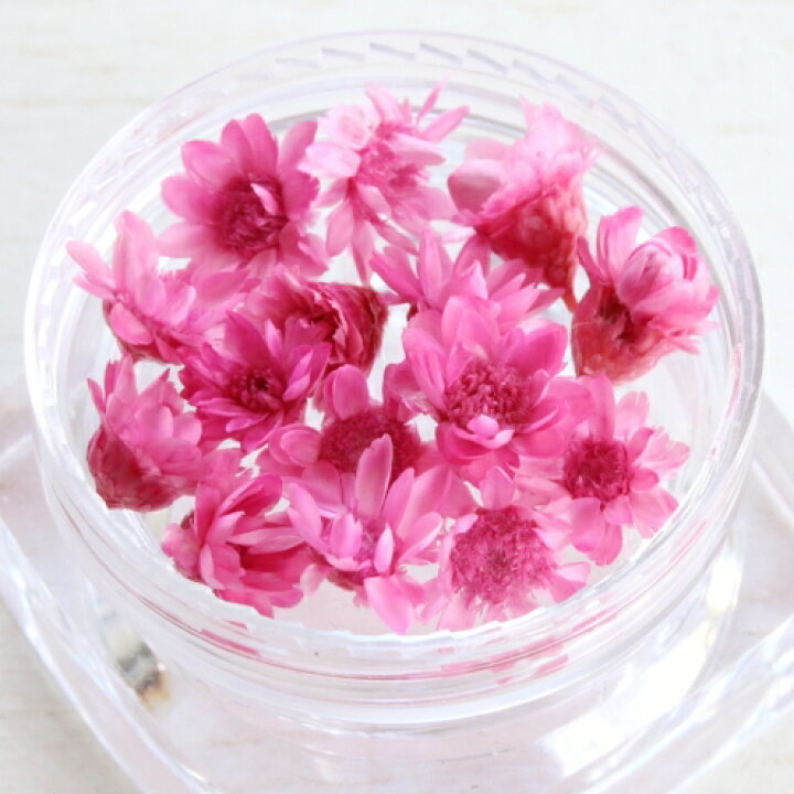 楽天市場 ドライフラワー プチサイズ15輪 単色 スターフラワー 艶華 小花 プリザーブドフラワー 花材 Flower 春 Spring ピンクさくら サクラ 桜 ビーズアンドパーツ アクセサリーパーツ 隠れ工房ｇｒｅｅｎｏｃｅａｎ