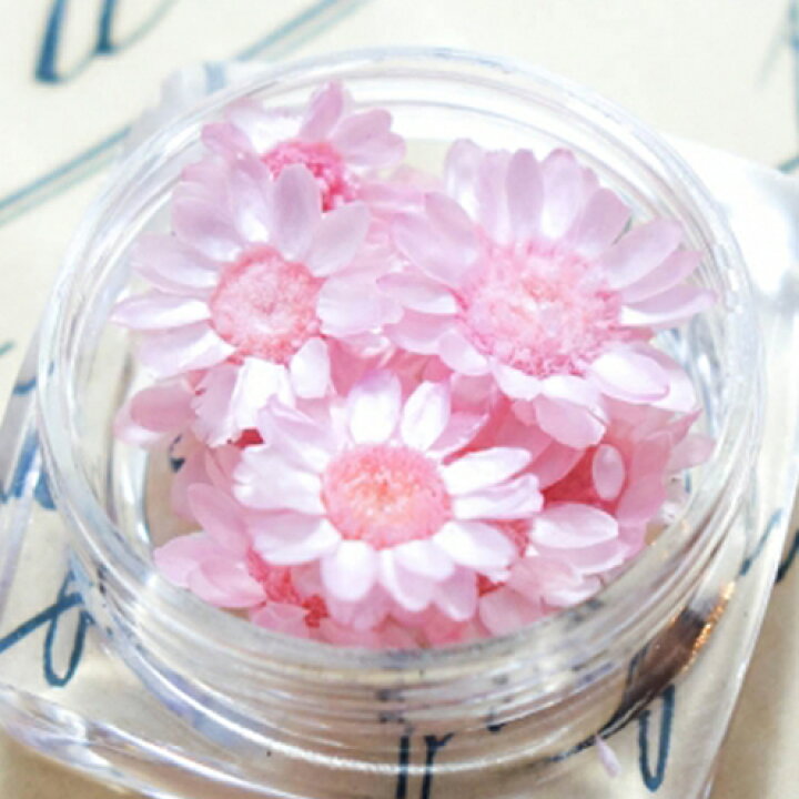 楽天市場 ドライフラワー 9輪 単色 スターフラワー さくら 小花 プリザーブドフラワー 花材 Flower 桜 サクラ さくら 春 Spring もも 桃 ピンク ビーズアンドパーツ アクセサリーパーツ 隠れ工房ｇｒｅｅｎｏｃｅａｎ