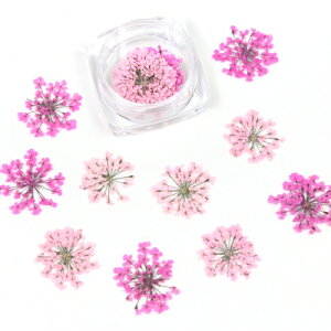 桜 プリザーブドフラワー 生花の人気商品 通販 価格比較 価格 Com