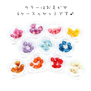 【福袋】6色36輪カラーはお任せ(^^♪つぼみが可愛いスターフラワーサイズmixセット小花プリザーブドフラワー花材flowerドライフラワー封入プチ