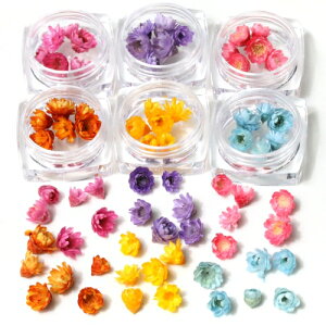 【福袋】6色36輪カラーはお任せ(^^♪つぼみが可愛いスターフラワーサイズmixセット小花プリザーブドフラワー花材flowerドライフラワー封入プチ