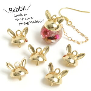 y{z5@Lbv@sꂢ߃S[htyKXh[ p[ r[Y W  ETM e rbg  animal p[c r[YAhp[c ANZT[p[cz GK