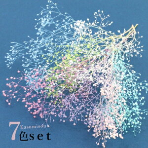 y܁z(^^ n[oEɍœKJX~7FZbgn[o[ vU[uht[  W hCt[ lC r[YAhp[c ANZT[p[cz GK