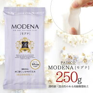 20％OFF【粘土】モデナ 250g 樹脂粘土 ホワイト 白 パジコ PADICO MODENA 高級粘土 ねんど 耐水 日本製 …