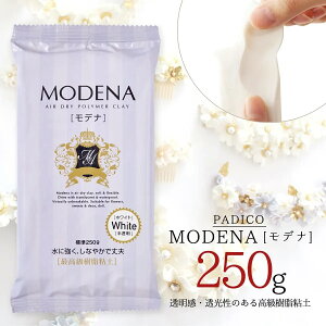 20��OFF�y�S�y�z���f�i 250g �����S�y �z���C�g �� �p�W�R PADICO MODENA �����S�y �˂�� �ϐ� ���{�� �u���[�` �A�N�Z�T���[ �G�� �H�� �q�� �ċx�� ���� ��| GK