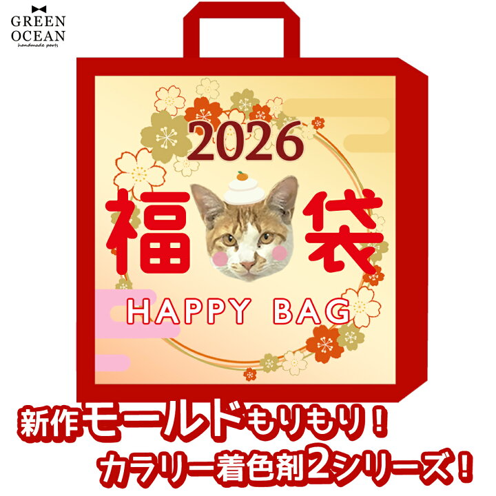 楽天市場】△☆【送料無料】2026謎福袋 オマケ付 年末 新春福袋 レジン 