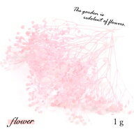 【ドライフラワー】約1g カスミ草《ピンク》[小花,プリザーブドフラワー,花材,flower,かすみ草,カスミソ…