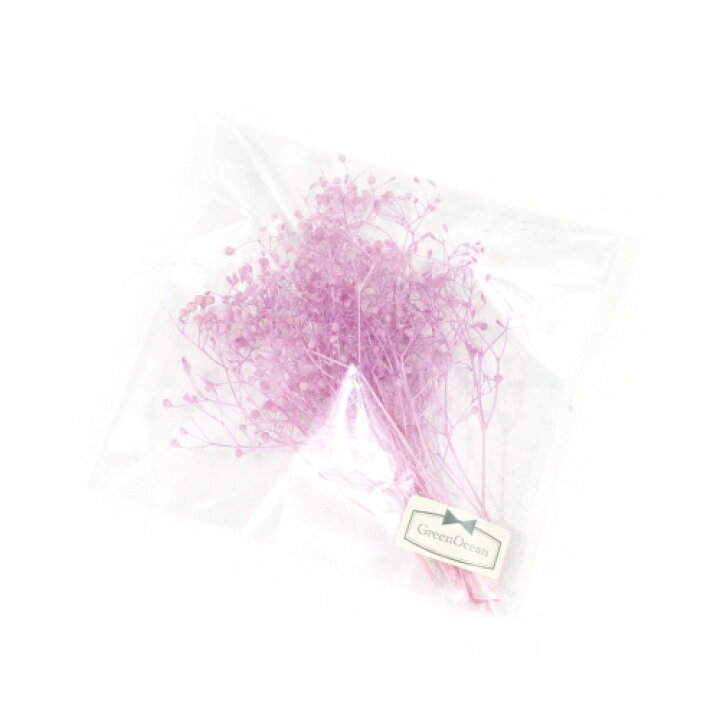 楽天市場 ドライフラワー 約1g カスミ草 パープル 小花 レジン ドライフラワー プリザーブドフラワー 花材 Flower かすみ草 カスミソウ 春 隠れ工房ｇｒｅｅｎｏｃｅａｎ