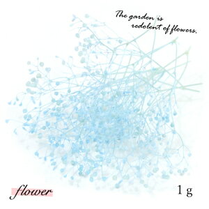 �y�h���C�t�����[�z��1g �J�X�~�� �s�X�J�C�u���[�t [���� �v���U�[�u�h�t�����[ �ԍ� flower �����ݑ� �J�X�~�\�E �t] ���W�� �h���C�t�����[