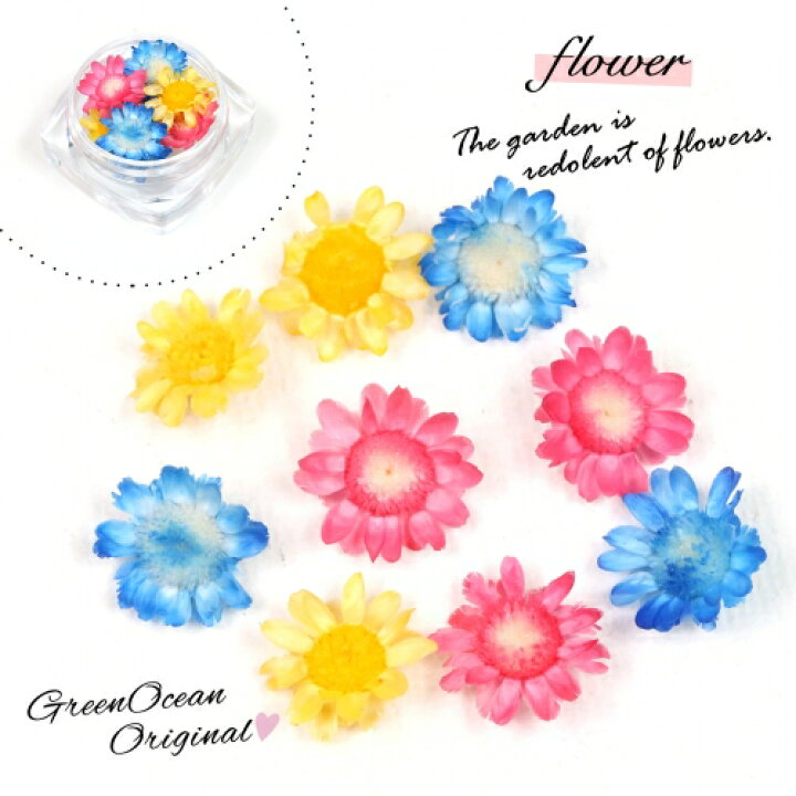 楽天市場 ドライフラワー 9輪 3色ミックス スターフラワー ビビット 小花 プリザーブドフラワー 花材 Flower 濃ピンク もも 水色 青 ブルー 黄色 イエロー 隠れ工房ｇｒｅｅｎｏｃｅａｎ