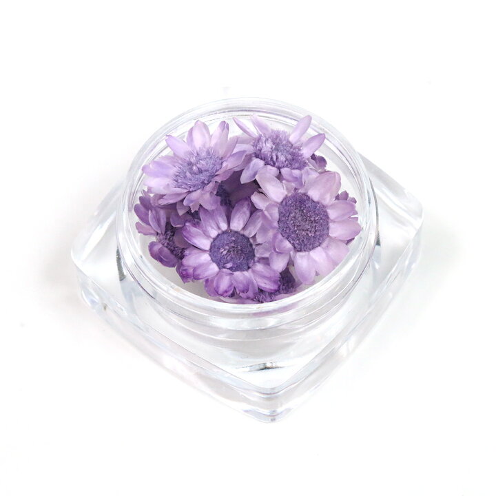 楽天市場 ドライフラワー 9輪 単色 スターフラワー ぶどう 小花 プリザーブドフラワー 花材 Flower グレープ 紫 ビーズアンドパーツ アクセサリーパーツ 隠れ工房ｇｒｅｅｎｏｃｅａｎ