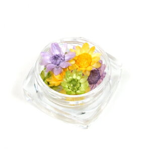 楽天市場 ドライフラワー 9輪 3色ミックス スターフラワー サマータイム 小花 プリザーブドフラワー 花材 緑 グリーン 紫 パープル 黄色 イエロー 隠れ工房ｇｒｅｅｎｏｃｅａｎ