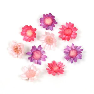 楽天市場 ドライフラワー 9輪 3色 スターフラワー ピンク パープル ブロッサム 小花 プリザーブドフラワー 花材 Flower 春 Spring 紫 パープル ベビー 隠れ工房greenocean 楽天市場 ドライフラワー 9輪 3色 スターフラワー ピンク パープル ブロッサム 小花 プリザーブドフラワー 花材 Flower 春 Spring 紫 パープル ベビー 隠れ工房greenocean