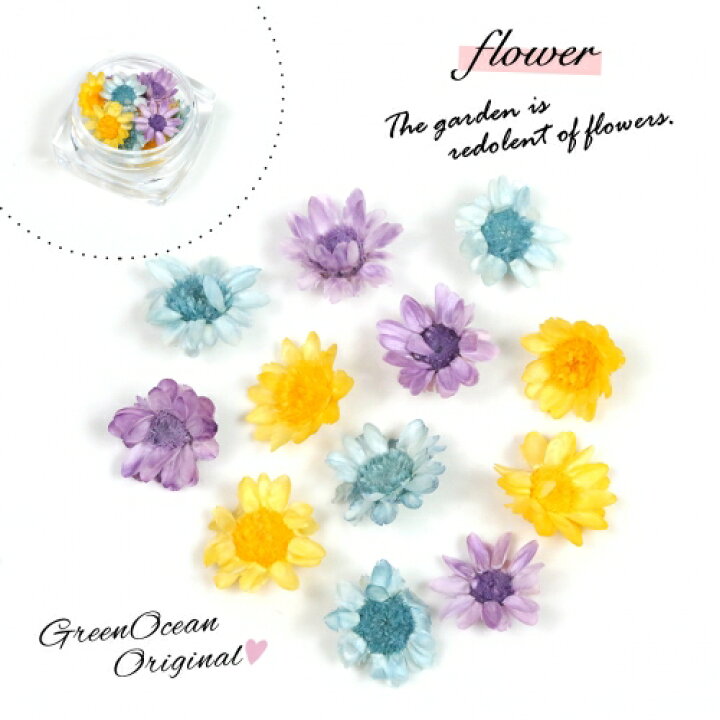 楽天市場 ドライフラワー 12輪 3色 スターフラワー クール 小花 プリザーブドフラワー 花材 Flower 黄 紫 パープル 青 隠れ工房ｇｒｅｅｎｏｃｅａｎ