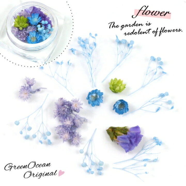 楽天市場 ドライフラワー 5種のドライフラワーミックス レイニーブルー 小花 プリザーブド 花材 Flower 紫 パープル ブルー 黄緑 手芸 スターフラワー カスミソウ 隠れ工房ｇｒｅｅｎｏｃｅａｎ