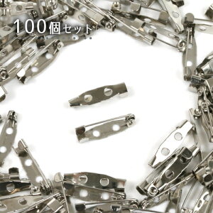 y{p[cށz100 eʃu[`s 20mmsVo[t[2cm Ɩp ̔  ԃs RT[Ws { b | p[c pbN] GK