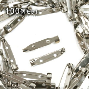 y{p[cށz100 eʃu[`s 30mmsVo[t[3cm Ɩp ̔  ԃs RT[Ws { b | p[c pbN] GK