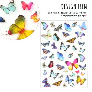 yCXgV[gzo^tC41[X 傤 `E` Ό  R[W tB WV[ lC fR |]