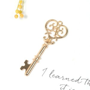 y`[zAX̑傫ȃJMsꂢ߃S[ht[svc̍̃AX b t@^W[   L[ AeB[N ]