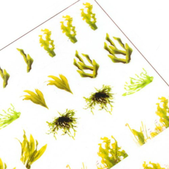 楽天市場 イラストシート 水草 植物 アクアリウム 水槽 サンゴ 海 金魚 夏 封入 コラージュ フィルム レジンシール ネイル デコ 手芸 隠れ工房ｇｒｅｅｎｏｃｅａｎ