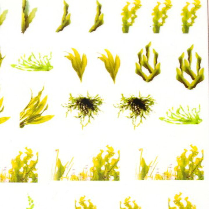 楽天市場 イラストシート 水草 植物 アクアリウム 水槽 サンゴ 海 金魚 夏 封入 コラージュ フィルム レジンシール ネイル デコ 手芸 隠れ工房ｇｒｅｅｎｏｃｅａｎ