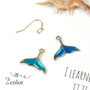 y`[ẑہsIׂ2Ft[animal  NW  ~ sea C }  summer zG[  J[`[ G|t]