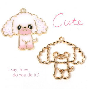 y5P5{z ygz Wg v[hsꂢ߃S[ht[  dog R  animal t[ |]