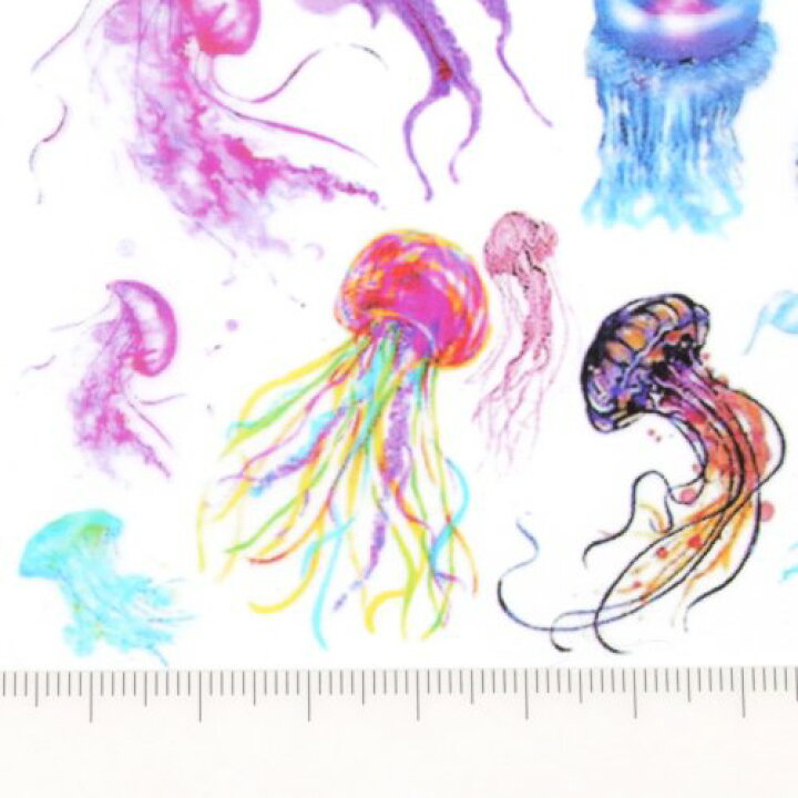 楽天市場 イラストシート ふんわりクラゲ マリン 海 くらげ 不思議 封入 コラージュ フィルム レジンシール ネイル デコ 手芸 隠れ工房ｇｒｅｅｎｏｃｅａｎ