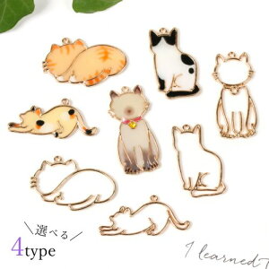 ygz Wg t[ ˂ lR L Lbg cat  animal | ɂ Lp[csIׂ4t