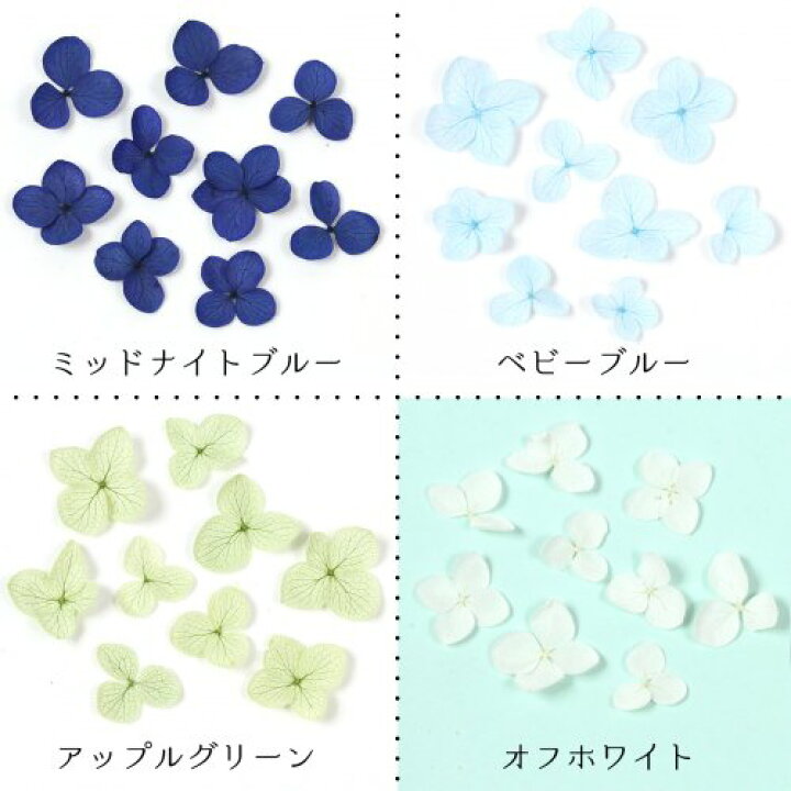 楽天市場 ドライフラワー アジサイ 紫陽花 押し花 プリザーブドフラワー 封入素材 花材 本物 レジン封入 パーツ ハーバリウム 9枚 ふわふわあじさい 選べる8色 隠れ工房ｇｒｅｅｎｏｃｅａｎ