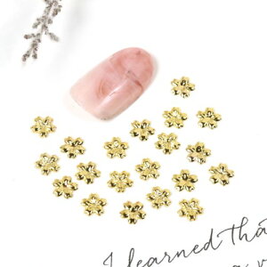 y^p[czlCTCY  ^p[c lCp[c  TN  t[ t A lCA[g WFlC fR W lCpi | Ntgsꂢ߃S[h