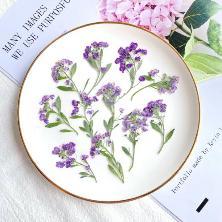 楽天市場】【押し花】アリッサム ドライフラワー 花 はな flower 紫 プリザーブドフラワー 本物 植物 ネイル レジン封入 クラフト 手芸 ネイル 10~12輪程 : 隠れ工房GreenOcean