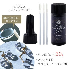 20％OFF【コーティング用レジン液】 レジン液 UV-LEDコーティングレジン 星の雫〈グロス〉30g ノズル1個＆フロッキーチップ3本付 トップコート パジコ padico PADICO