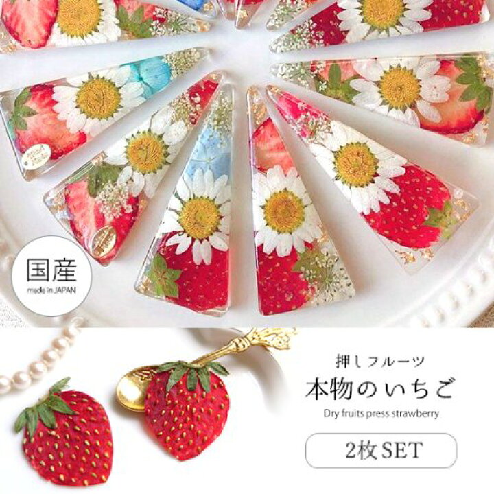 楽天市場】【押し花】いちご 国産品 2枚セット 押しフルーツ イチゴ 苺 