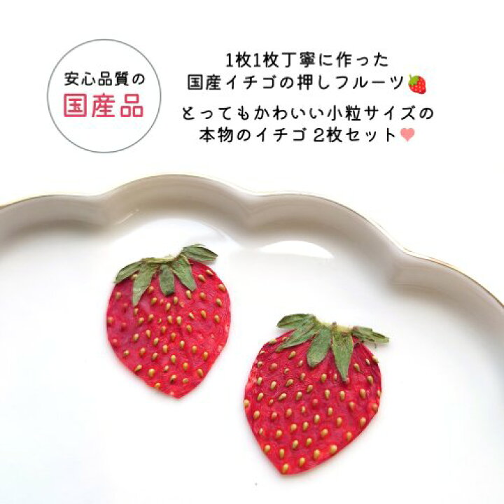 楽天市場】【押し花】いちご 国産品 2枚セット 押しフルーツ イチゴ 苺 