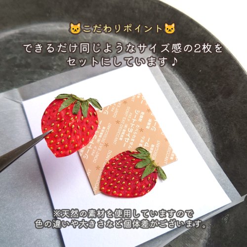 楽天市場】【押し花】いちご 国産品 2枚セット 押しフルーツ イチゴ 苺