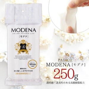 20OFFySyzfi 250g Sy zCg  pWR PADICO MODENA Sy ˂ ϐ { u[` ANZT[ G H q ċx  | GK