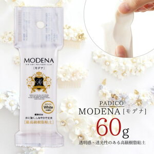 20OFFySyzfi 60g Sy zCg  pWR PADICO MODENA Sy ˂ ϐ { u[` ANZT[ G H q ċx  | GK