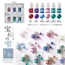 20％OFF【着色剤】宝石の雫 バースストーンカラーセット 《1-6月》 レジン 着色料 セット 着色 彩色 誕生石 透明 クリア パジコ 2023 新作 新色 PADICO 手芸